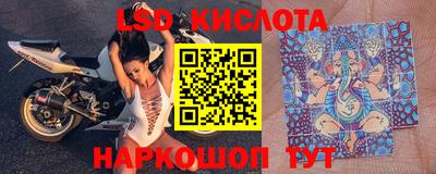a pvp Свободный