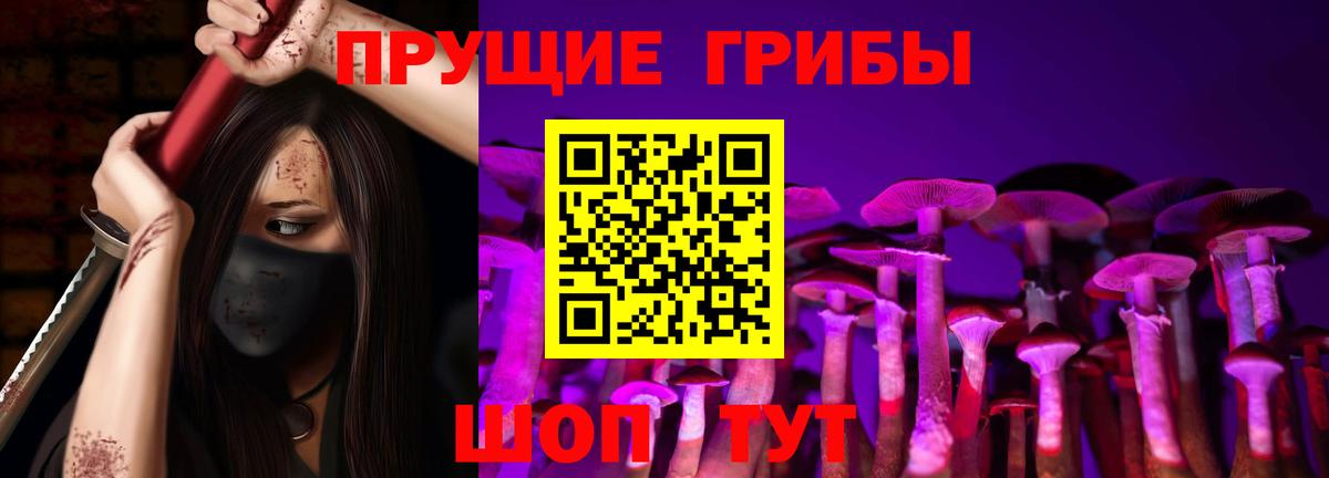 Новосибирск  купить наркоту  Вход с VPN  Галлюциногенные грибы Psilocybe 